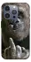 Чохол на Apple iPhone 16 Pro Max Surprise фото 1 з 1
