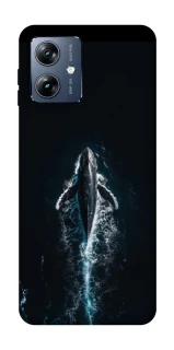Чохол на Motorola Moto G54 Power Whale фото 1 з 1