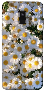 Чохол на Samsung A530 Galaxy A8 (2018) Поле ромашок фото 1 з 1