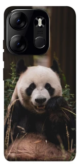 Чехол на Tecno Spark Go 2023 Панда фото 1 из 1