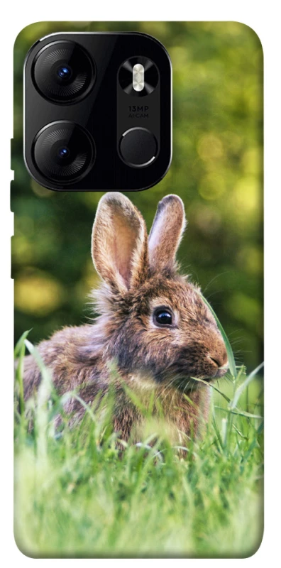 Чехол на Tecno Spark Go 2023 Кролики фото 1 из 1