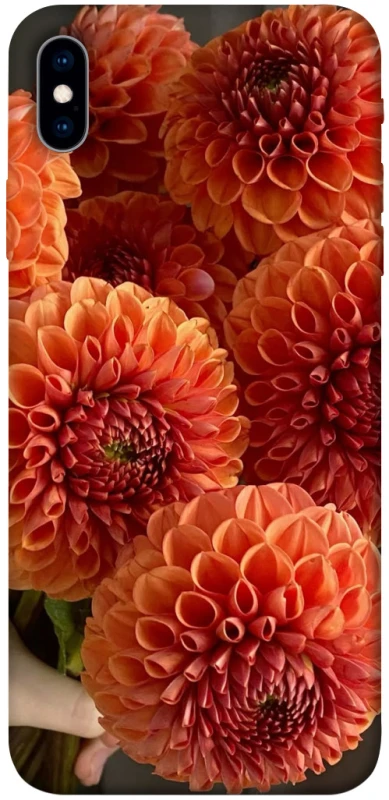 Чохол на Apple iPhone XS Max (6.5") Flower1 фото 1 з 1