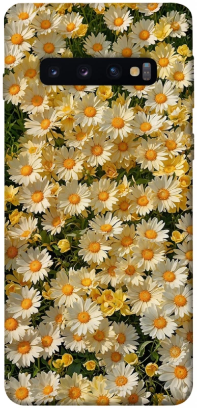 Чохол на Samsung Galaxy S10 Camomile фото 1 з 1