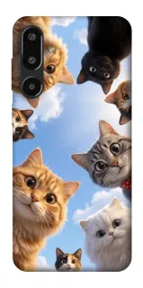 Чехол на Samsung Galaxy F16 Cats фото 1 из 1