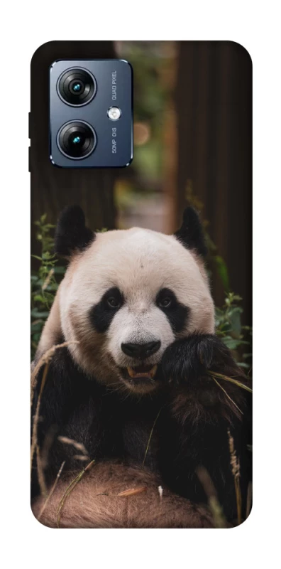 Чехол на Motorola Moto G54 Power Панда фото 1 из 1