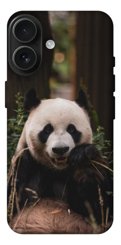 Чехол на Apple iPhone 17 (6.3") Панда фото 1 из 1
