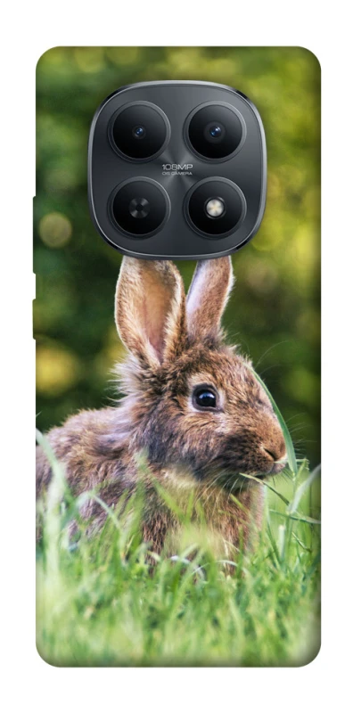 Чехол на Xiaomi Redmi Note 15 4G/5G (EU) Кролики фото 1 из 1