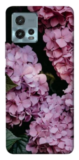 Чохол на Motorola Moto G72 Рожеві гартензії фото 1 з 1