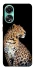 Чохол на Oppo A78 4G Leopard v2 фото 1 з 1