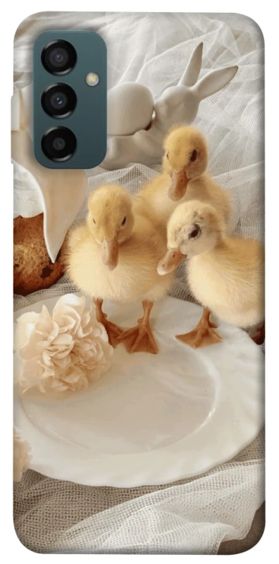 Чохол на Samsung Galaxy M34 5G Easter Vibes фото 1 з 1