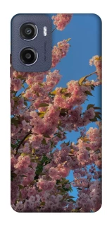 Чехол на Motorola Moto G05 Flowers v4 фото 1 из 1