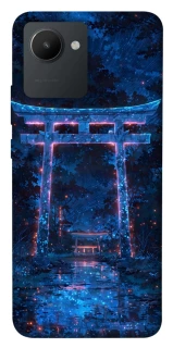 Чехол на Realme C30s torii gate фото 1 из 1