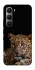 Чехол на Infinix Hot 60 Pro Leopard v4 фото 1 из 1