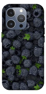 Чохол на Apple iPhone 16 Pro Max Fresh фото 1 з 1