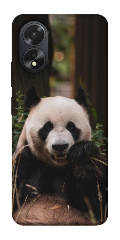 Чехол на Oppo A18 Панда фото 1 из 1
