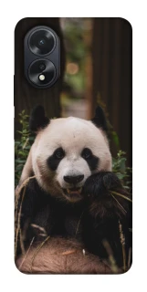 Чехол на Oppo A18 Панда фото 1 из 1