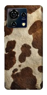 Чехол на ZTE Blade V50 Vita Cow фото 1 из 1