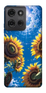 Чохол на Motorola Moto G75 Sunflowers фото 1 з 1