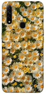 Чехол на Oppo A31 Camomile фото 1 из 1