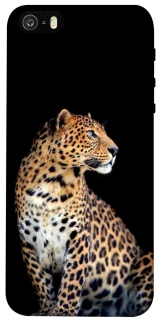 Чохол на Apple iPhone 5/5S/SE Leopard v2 фото 1 з 1