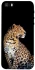 Чохол на Apple iPhone 5/5S/SE Leopard v2 фото 1 з 1