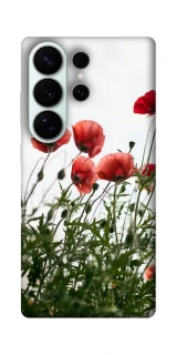 Чохол на Samsung Galaxy S26 Pro Поле маків фото 1 з 1