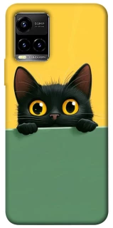 Чохол на Vivo Y21 / Y33s Black cat v2 фото 1 з 1