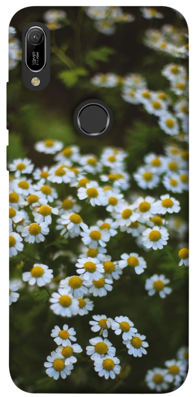 Чехол на Huawei Y6 (2019) Ромашки v13 фото 1 из 1