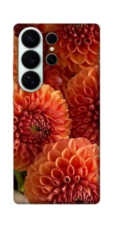 Чехол на Samsung Galaxy S26 Flower1 фото 1 из 1