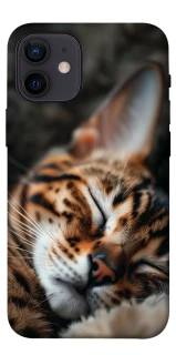 Чохол на Apple iPhone 12 mini (5.4") Cat paws фото 1 з 1
