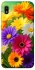 Чохол на Samsung Galaxy A10 (A105F) Flowers v32 фото 1 з 1