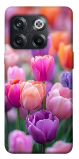 Чохол на OnePlus 10T Тюльпанове поле фото 1 з 1