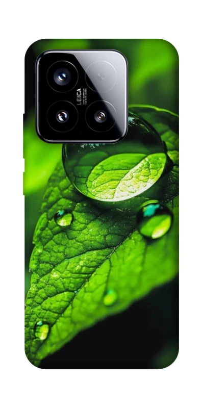 Чохол на Xiaomi 15 Flowers v16 фото 1 з 1