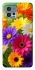 Чохол на Motorola Moto G72 Flowers v32 фото 1 з 1