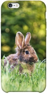 Чехол на Apple iPhone 6/6s plus (5.5") Кролики фото 1 из 1