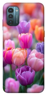 Чехол на Nokia G21 Поле тюльпанов фото 1 из 1