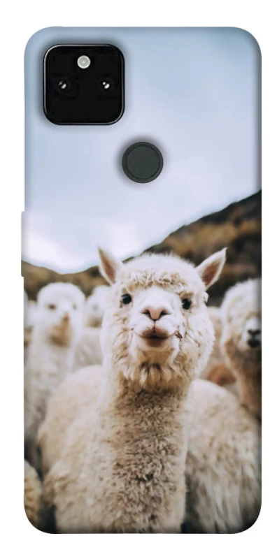 Чохол на Google Pixel 5A Лама фото 1 з 1