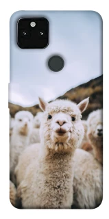 Чохол на Google Pixel 5A Лама фото 1 з 1