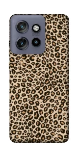 Чохол на Motorola Edge 50 Neo Leopard Skin v2 фото 1 з 1