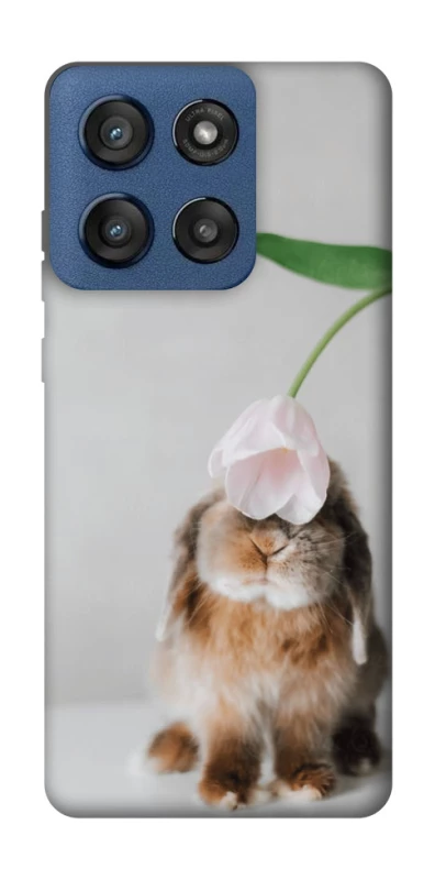Чохол на Motorola Edge 60 Stylus Bunny фото 1 з 1