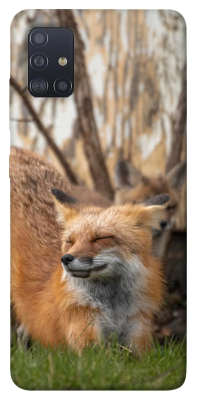Чохол на Samsung Galaxy M51 Лисиця фото 1 з 1