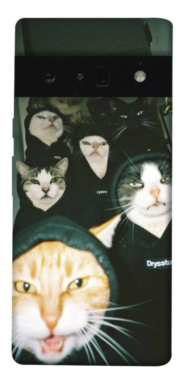 Чохол на Google Pixel 6 Pro Сatsss фото 1 з 1