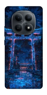 Чехол на Xiaomi Redmi Note 15 4G/5G (EU) torii gate фото 1 из 1