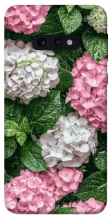 Чохол на Samsung Galaxy S10e Secret Garden фото 1 з 1