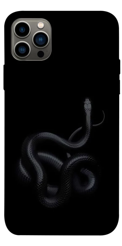 Чехол на Apple iPhone 12 Pro (6.1") Black snake фото 1 из 1