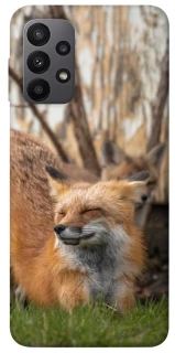 Чехол на Samsung Galaxy A23 4G Лиса фото 1 из 1