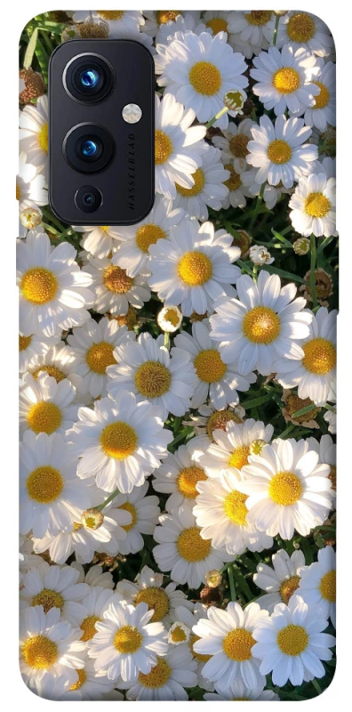 Чехол на OnePlus 9 Поле ромашек фото 1 из 1