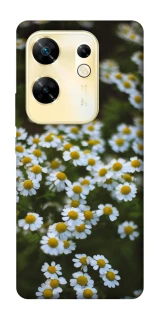 Чехол на Infinix Zero 30 4G Ромашки v13 фото 1 из 1