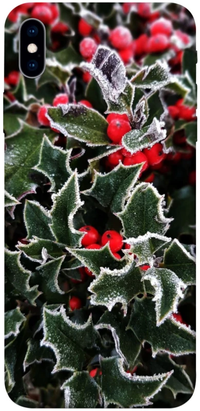 Чохол на Apple iPhone XS Max (6.5") Новорічний v32 фото 1 з 1