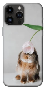 Чохол на Apple iPhone 14 Pro Max (6.7") Bunny фото 1 з 1